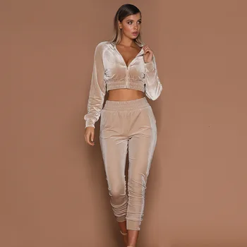 

Two Piece Set Jacket and Pants 2020 Velvet Tracksuit Women Clothes Spring Solid Color Black/Pink/Apricot Lounge Wear Womens Sets