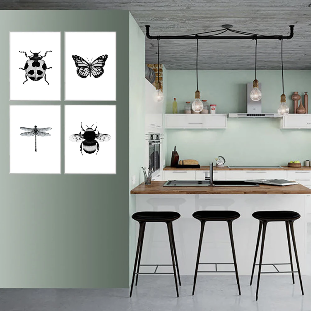 Животные черно-белый холст постер Божья коровка Бабочка Стрекоза Шмель