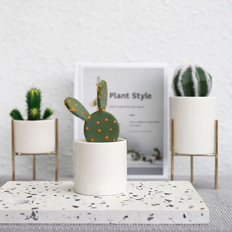 HTB144aHXsnrK1RkHFrdq6xCoFXaP