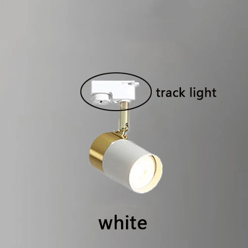 Track light-white