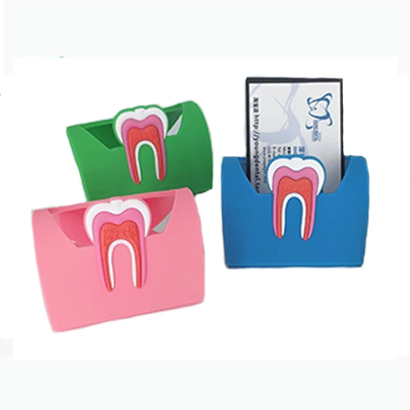 1pcs Dentist Gift Cute Card Holder For Dental Clinic Colorful Rubber Teeth Molar Shape Phone Card Name Storage Dsiaply Stand
