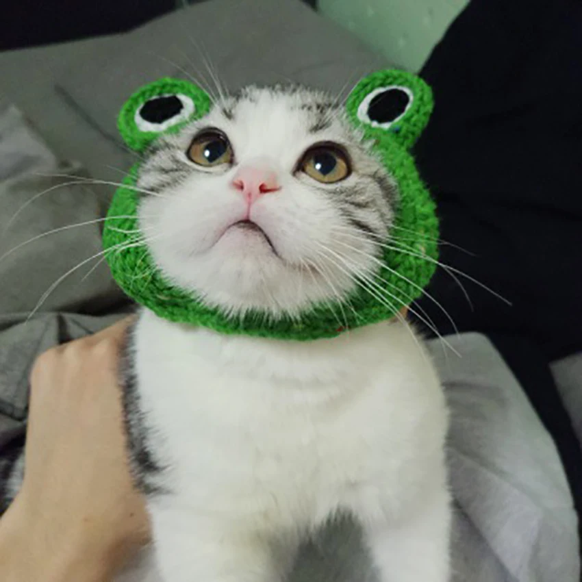 Pet ручная вязаная шапка бейсболка с кошкой Hairband зимние шапки для собак зеленая шерстяная шапка для щенка аксессуары для костюмов для маленьких собак Размер: S/M