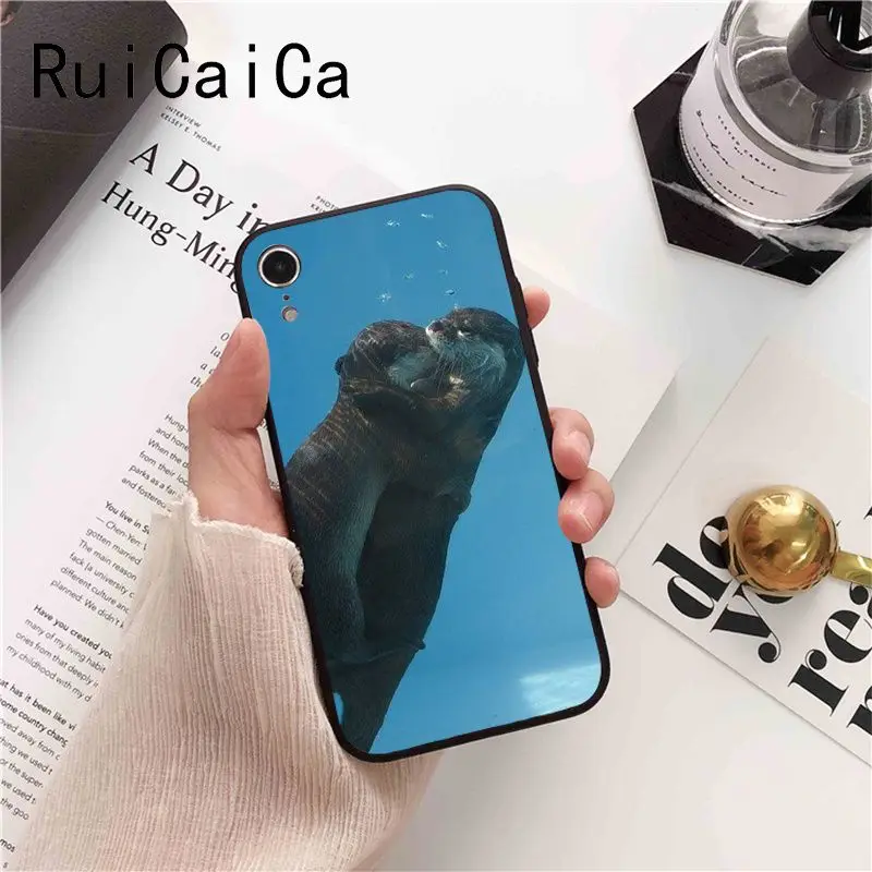 lovely cute Otter water animal