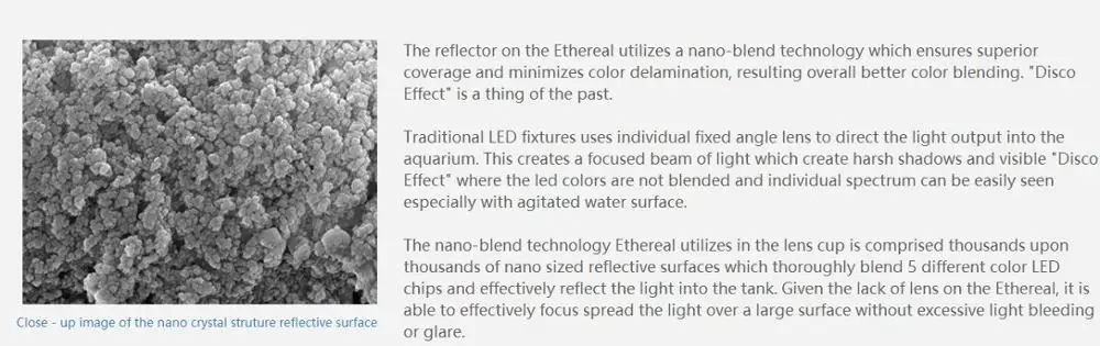 description8