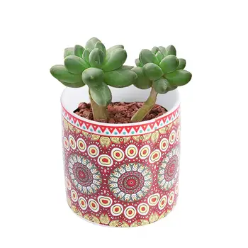 

4PCS Mandala Pattern Flowerpots Creative Succulent Planter Ceramic Bonsai Pot Gardening Supplies for Store Shop Home