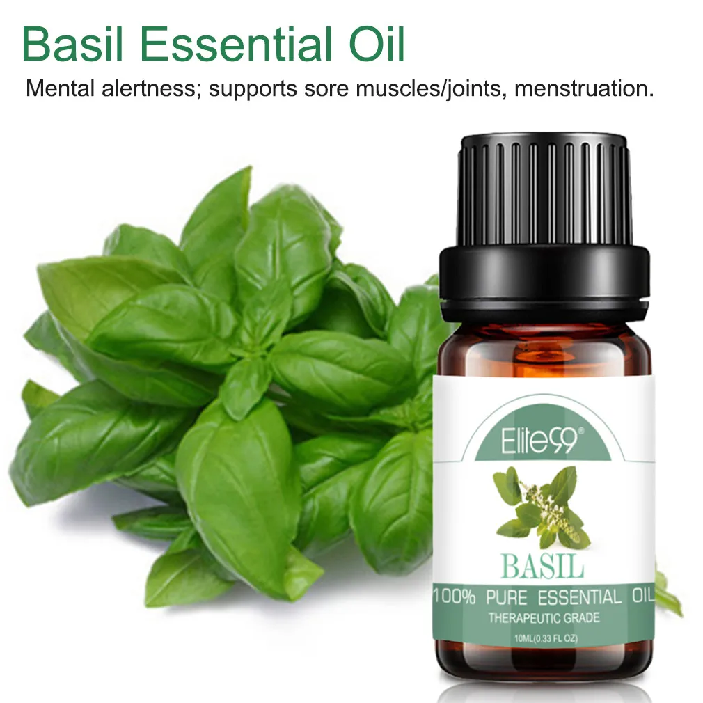 罗勒.jpg_.webp 罗勒.jpg_.webp