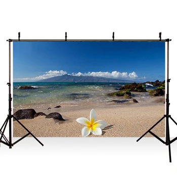 

Beach Side Landscape Flower Rocks Clean Water Sand Summer Honeymoon Photographic Background Photograph Backdrop
