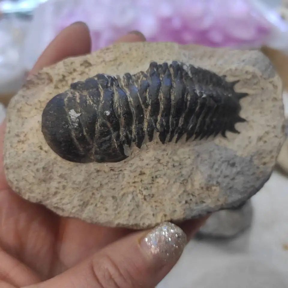 QQ图片20200425145613