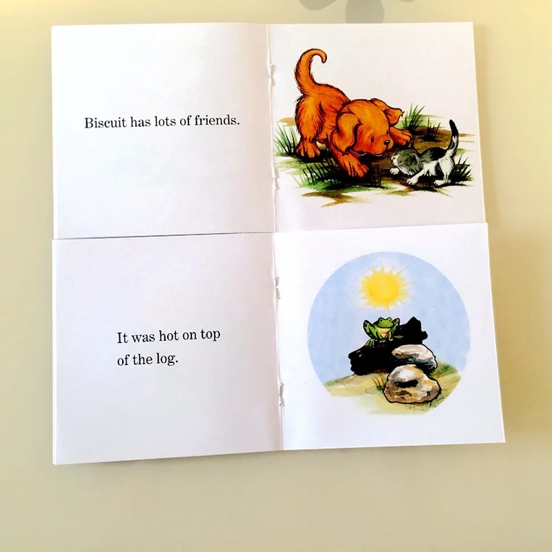 12 Books Biscuit Series Phonics English Picture 
