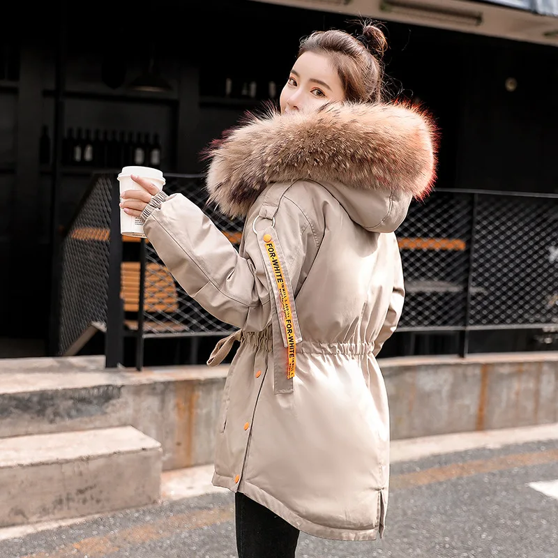 

2019 Winter New Style Cotton Coat Women's Short Korean-style Waist Hugging down Feather Cotton-padded Clothes Thick Short-height