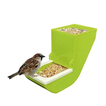 pigeon feeder tray
