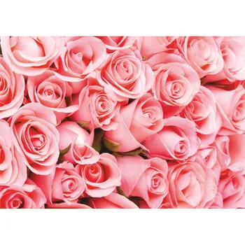 

Photo wallpaper 2,8*2,0 M, 8 sheets series flowers "romance" pink roses к-116 paper 150g/m2