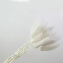 50 шт. сушеные натуральные Цветочные букеты белого цвета lagunus ovatus букеты& Uraria picta& rabbit tail трава букеты грозди