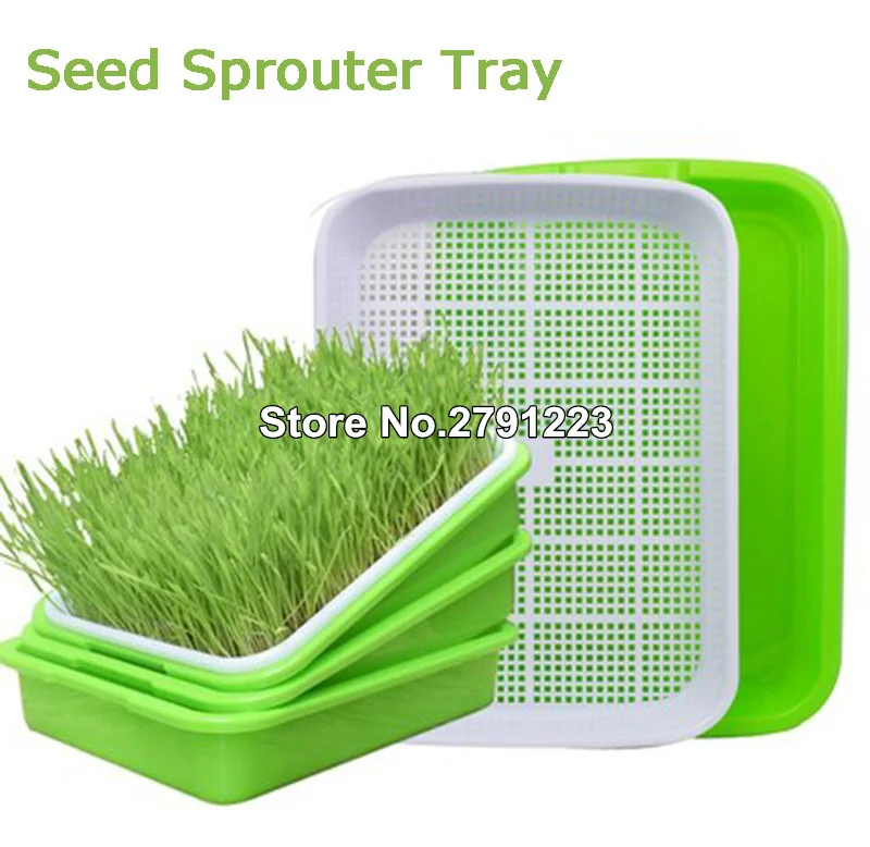 10 Pack Seed Sprouter Tray BPA Free Plastic Soil-Free for Wheatgrass Grass Grow 