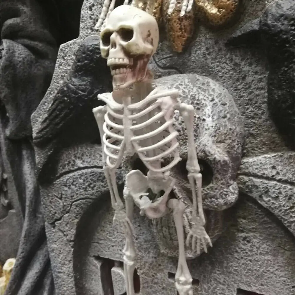 Skeleton Model 9