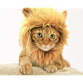 ペット猫ライオンたてがみかつら Aliexpress