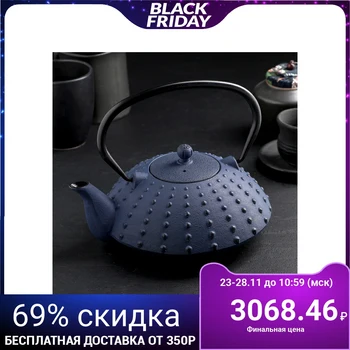 

Teapot with a sieve 1 l "Baysan", color blue