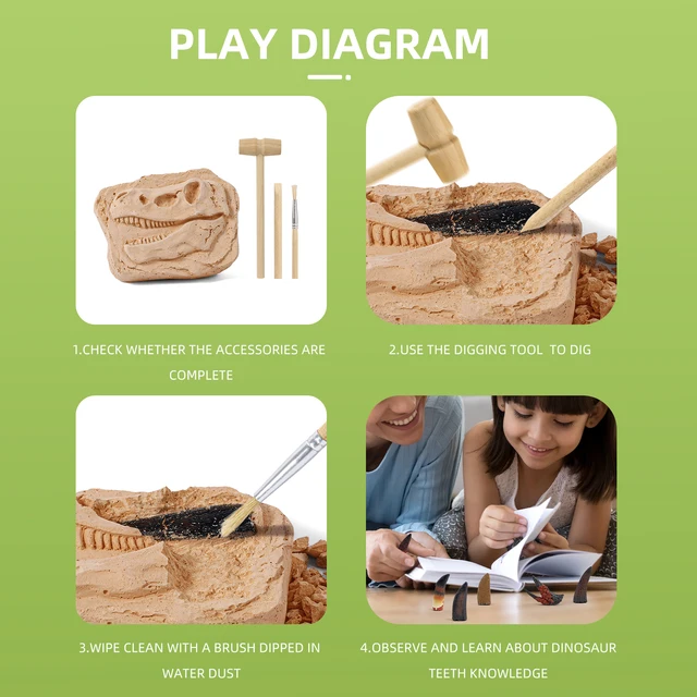 Dinosaur Claw & Tooth Fossils Dinosaur Teeth Fossils Excavation Kit  Digging Dinosaur Archeology Kit For Kids Dino Dig Kit Toy 5