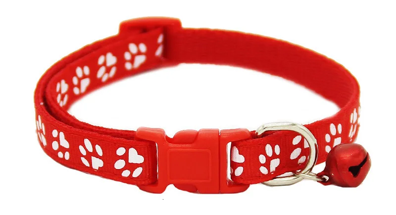 red dog collar
