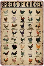 

Breeds of Chickens Tin Sign Vintage Metal Poster Chic Retro Sign Animal Home Decor Knowledge Aluminum Sign Gift 16x12 inch