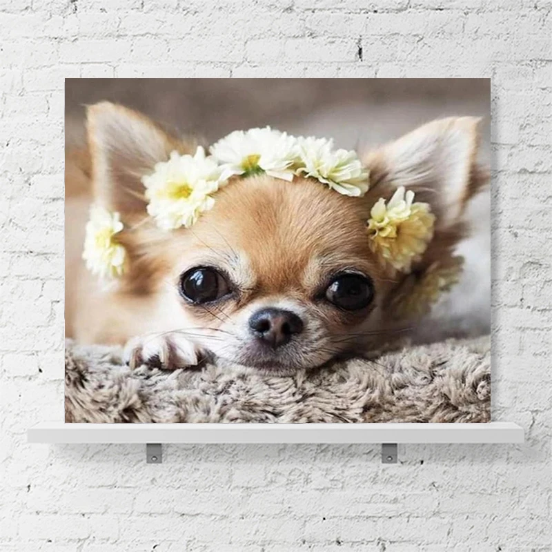 5d DIY алмазная живопись Животные Собака полная картина из квадратных стразов
