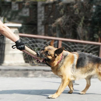 

Dog Toys Bite Tug Resistant Interactive Linen Training Bar Toys Pet Teeth Cleaning Chewing Toys For Dogs 2020