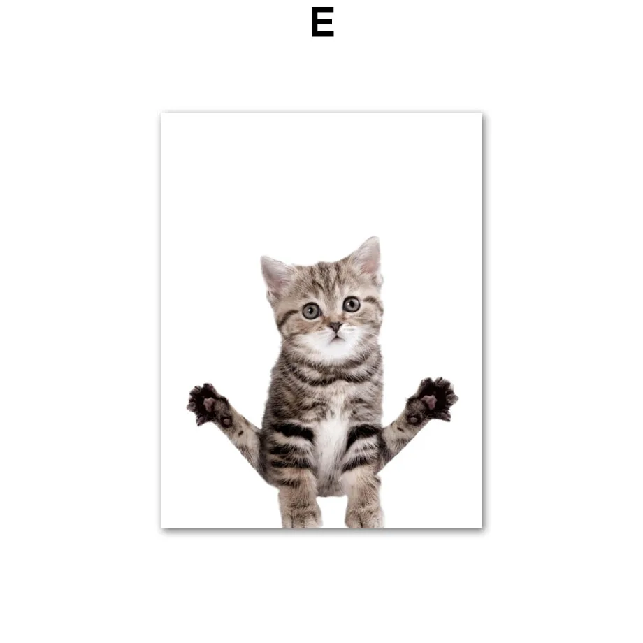 Wall-Art-Canvas-Painting-Funny-Cat-Gymnastics-Kitty-Nordic-Posters-And-Prints-Wall-Pictures-For-Living (8)