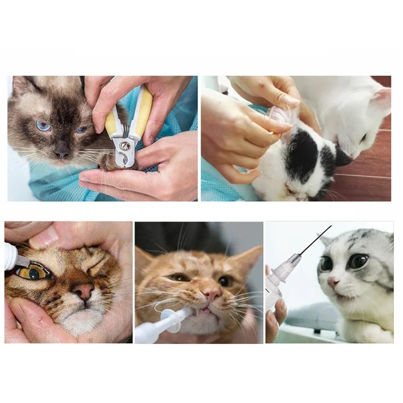 Новинка, дышащие моющие сумки для ухода за кошками, для домашних животных, для купания, для кошек, сумка для ванны, регулируемые принадлежности для домашних животных, прочные аксессуары для кошек