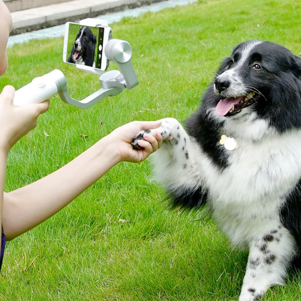 Xiaomi Mijia ручной шарнирный стабилизатор для камеры GoPro 3 оси смартфона Gimbal 5000 мА/ч, Батарея действий Камера мобильного телефона SJYT01FM