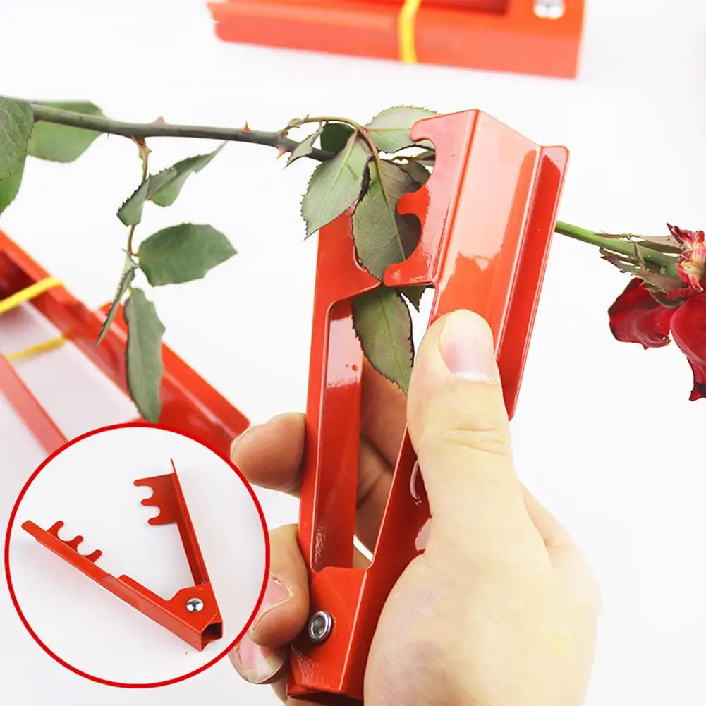 Rose Zangen Grate entfernen Gartenwerkzeug DIY Cut Leaf Thorn Stem Stripper M4S7 