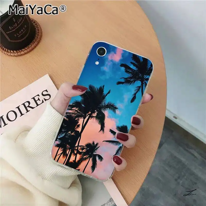 Summer Beach Scene at Sunset on sea Palm Tree