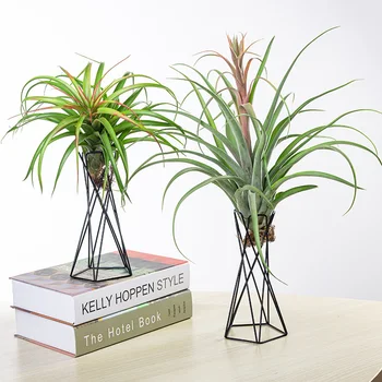 

Tabletop Metal Air Plant Holders Stands Plant Containers Flower Racks Home Garden Plant Planting Flower Stand Ornament 2020