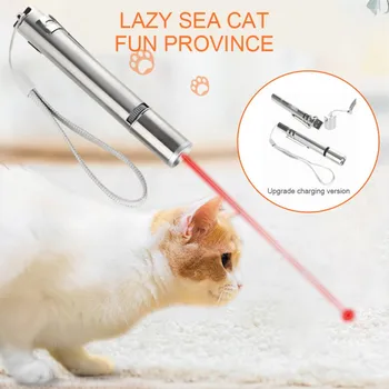 

Laser Sight Pointer USB Charge Pointer Sight Powerful Lazer Pen for Office School Pet Exercise Cat Chase Training Laser Pen Toy