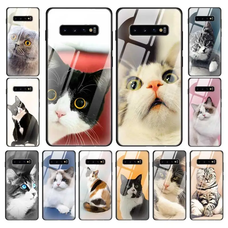 

Surprise Cat Tempered Glass Case Cover For Samsung Galaxy S10e S10 5G S9 S8 Plus S10+ S9+ S8+ S10Plus S9Plus S8Plus