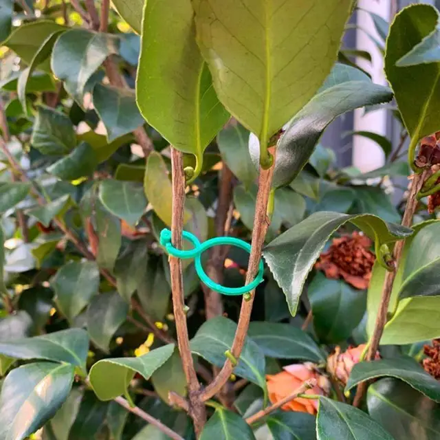 8 Karakter Csat-Csatnövény Támogató Többcélú Kerti Plant Twist Clip Ties Virágos Ág Szár Paradicsom Rögzítő Klipkert Kiegészítő - Image 4
