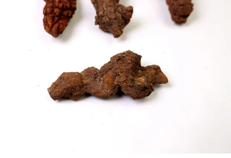 Natura LDinosaur Faeces Fossil образец оригинального камня Fossil камень образец обучающая коллекция