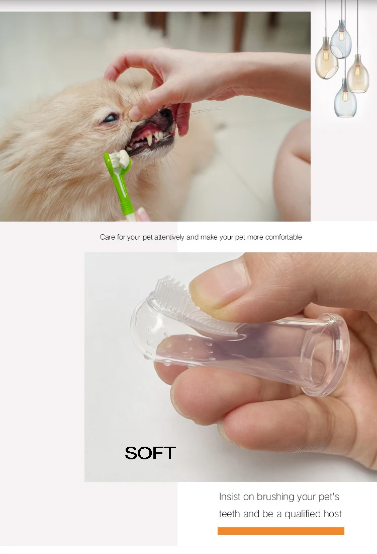 Unleash a Healthy Smile with the Three Sided Dog Toothbrush