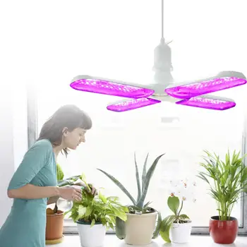 

Growing Lamps LED Grow Light Bulb Full Spectrum E27 E26 Timer Plant Lighting Plants Flowers Seedling Cultivation phyto lamp