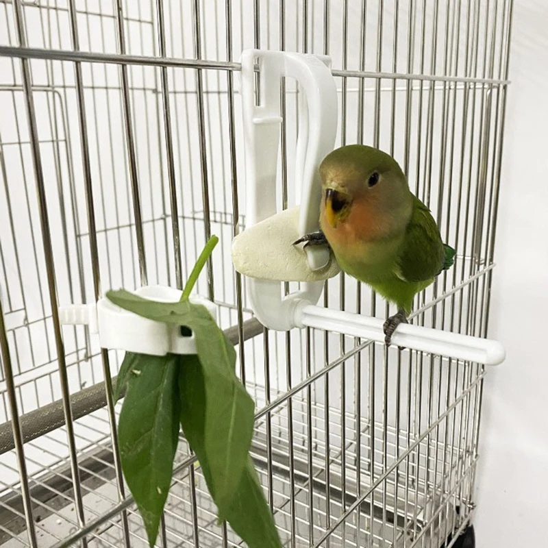 Birds Food Holder Pet Parrot Feeding Fruit Vegtable Clip Cuttlefish Bone Feeder Device Pin Clamp Bird Cage Accessories bird feeder parrot feeder bird cuttlebone holder