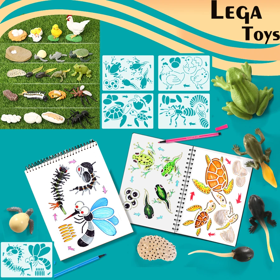 Montessori Chicken,Turtle,ants,Frog,Mosquito Life Cycle Animal Drawing Stencils and Figurines model set Educational Toys afbeelding