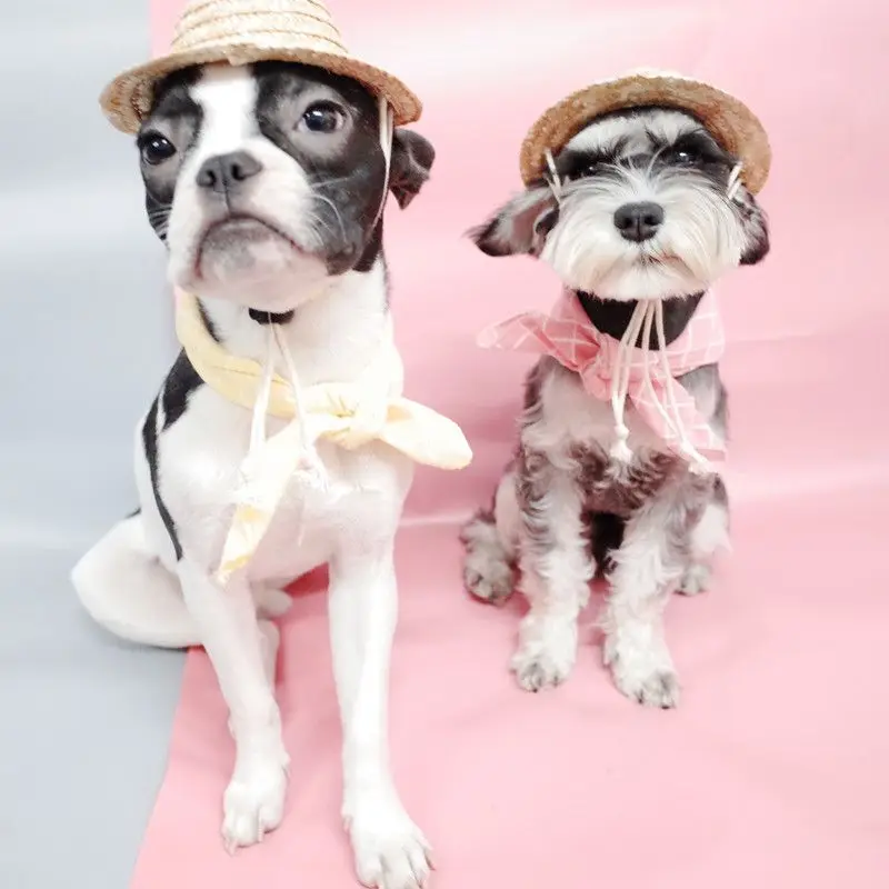 Colorful Straw Hat And Neckerchief Set Hawaii Style Pet Cat Dog Lovely Sun Hat With Adjustable Chin Strap And Scarf Accessories