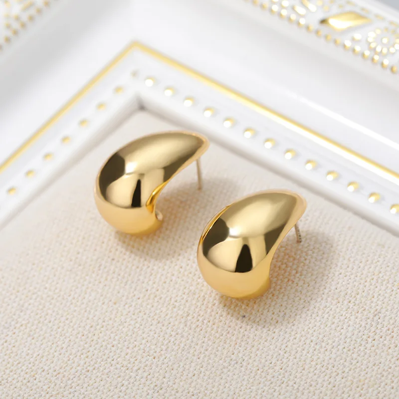 Stainless Steel Hook Earrings For Women Pin Minimalist Chic Baroque Style Elegant Female Jewelry Delicate Earring Gift 2022