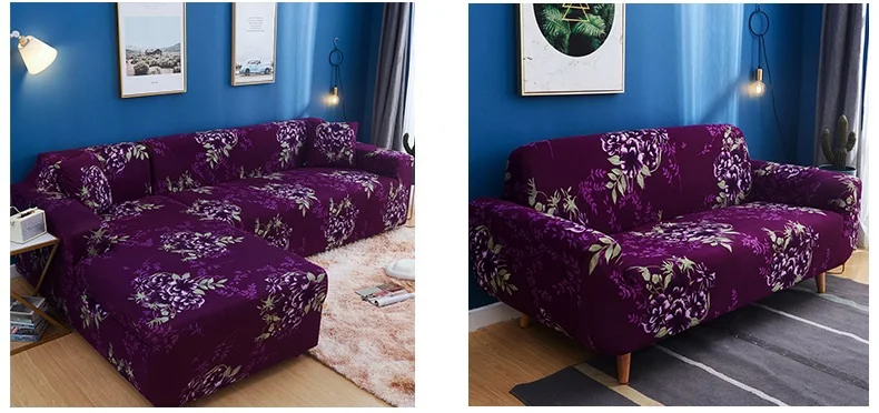 11765552622_1690726818