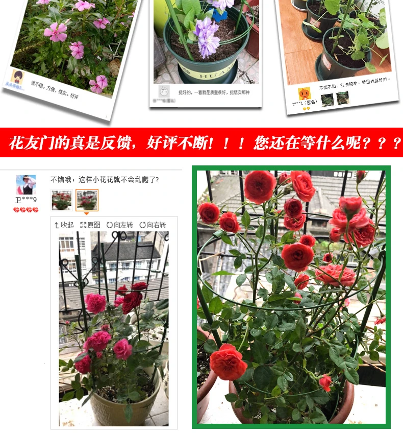 Скалолазание лоза кронштейн Botany альпинистская Арбор китайская Роза клематис Лотос для подъема держатель для кашпо буксировки опорная рама Цветочная стойка