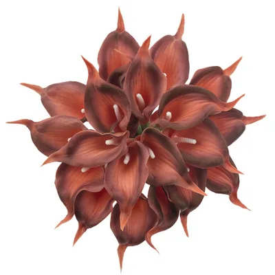 10911381925_831230203.400x400