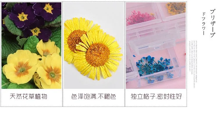 Новые сушеные цветы для девочек 12 цветов babysbreat SUN FLOWER украшения ногтей DRIEDFLOWERS