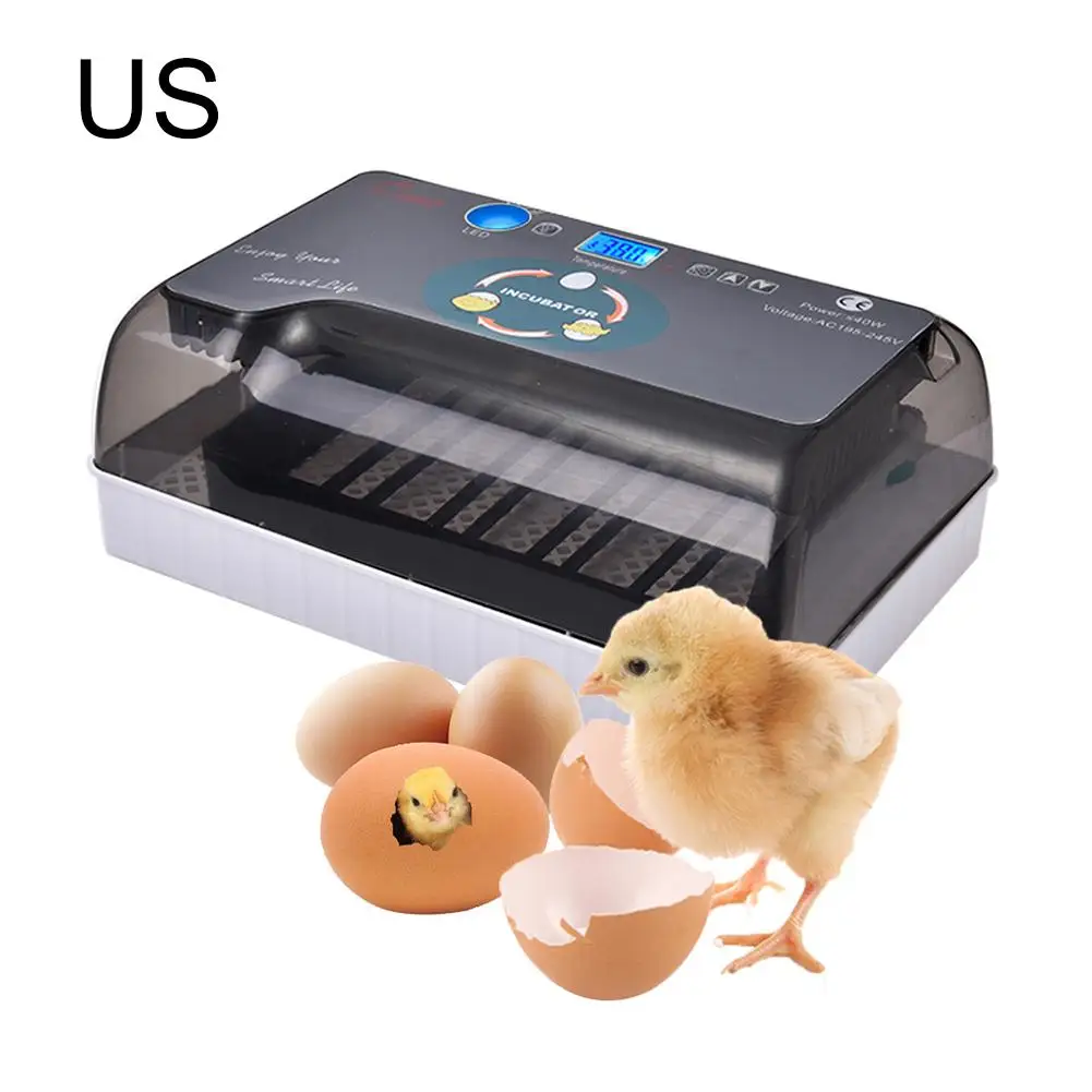 Новейшая сельскохозяйственная инкубатория инкубатор Брудер машина 4-35 яиц инкубаторы дешевая цена куриные автоматические яйца инкубатор птичий перепелиный Брудер - Цвет: US Plug
