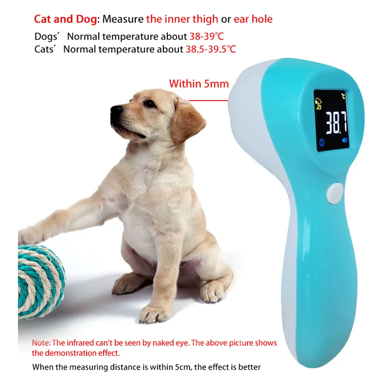 What Is A Normal Temperature For A Dog