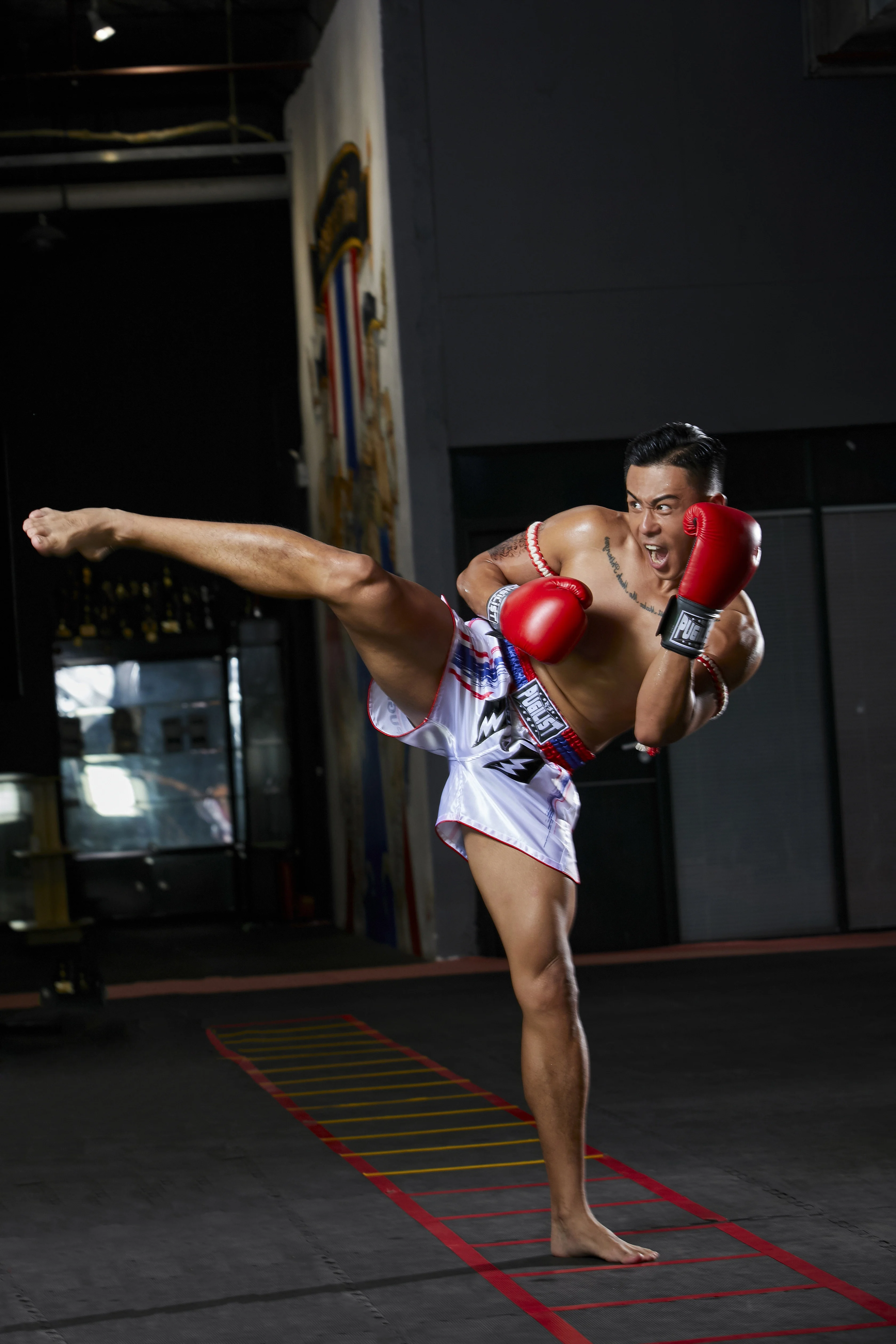 PUGILIST thai-black thai-pants шорты mma шорты для единоборств Бодибилдинг боевые искусства тренировочные боксеры