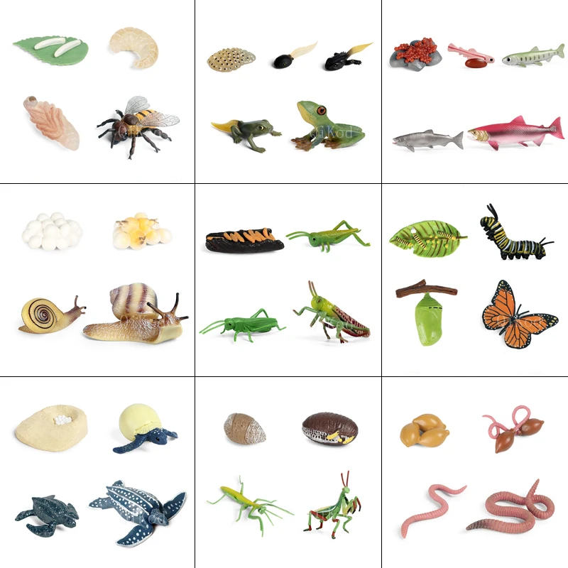 Kids Toys Figurine Earthworm Snail-Action-Figures Growth-Cycle-Model Locust Gift Cock
